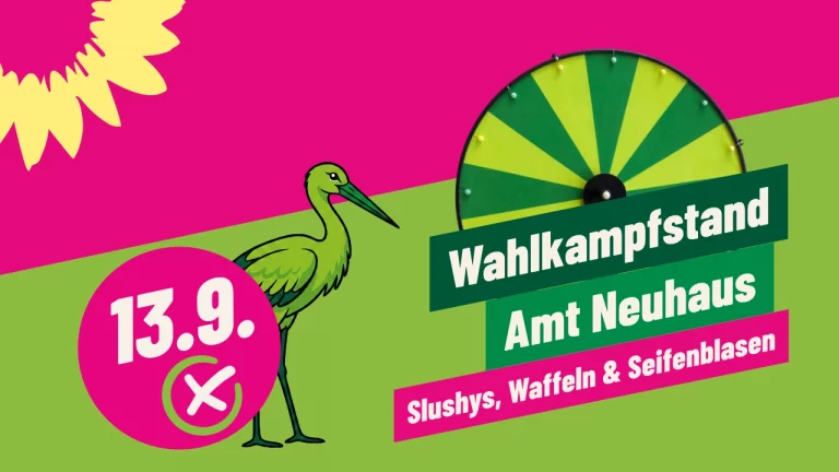 Unser Wahlkampfstand: wenn schon, denn schon